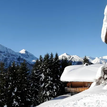 Сasa de vacaciones Brandstatt Alm Finkenberg
