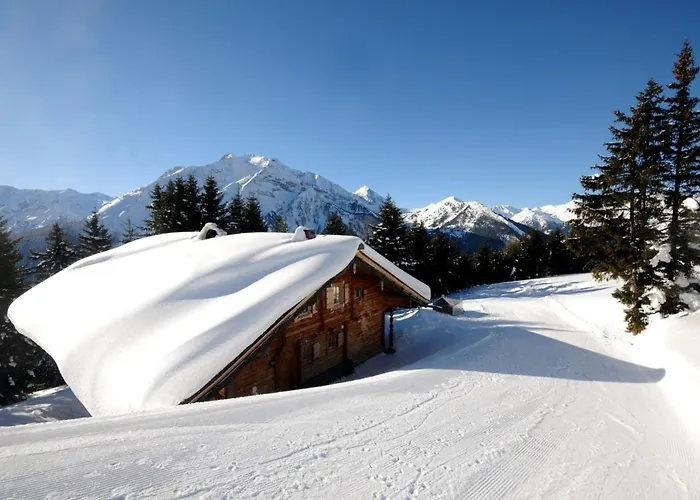 Brandstatt Alm Dom wakacyjny *