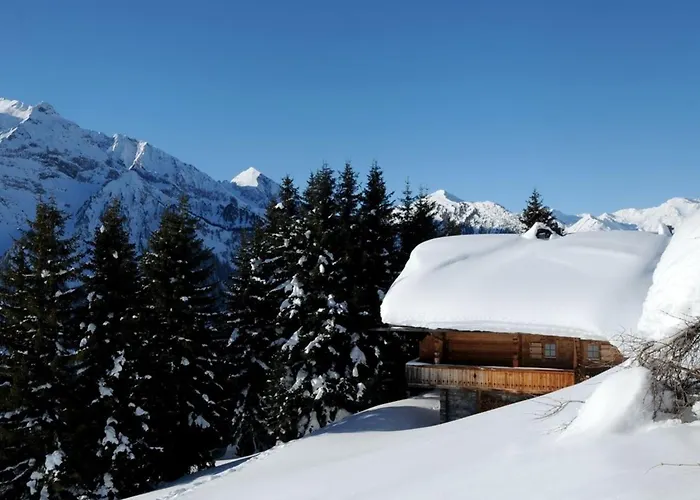 Brandstatt Alm Finkenberg