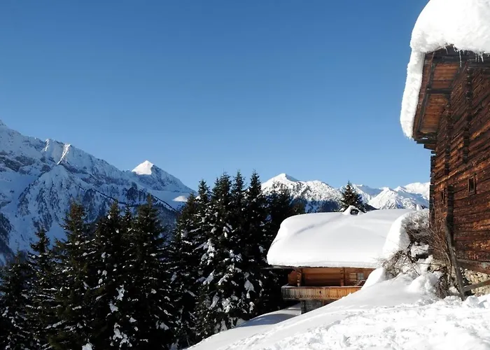 Сasa de vacaciones Brandstatt Alm Finkenberg