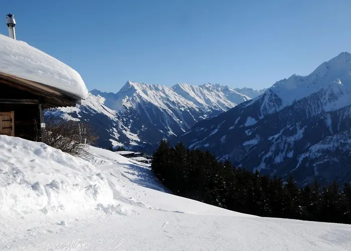 Сasa de vacaciones Brandstatt Alm Finkenberg